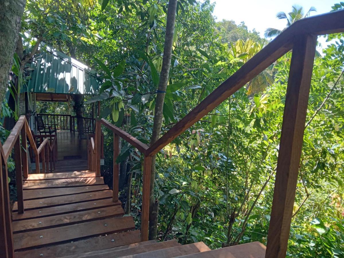 Cinnamon View Lodge Mirissa Εξωτερικό φωτογραφία
